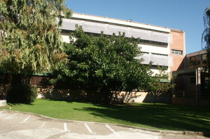 Cortile